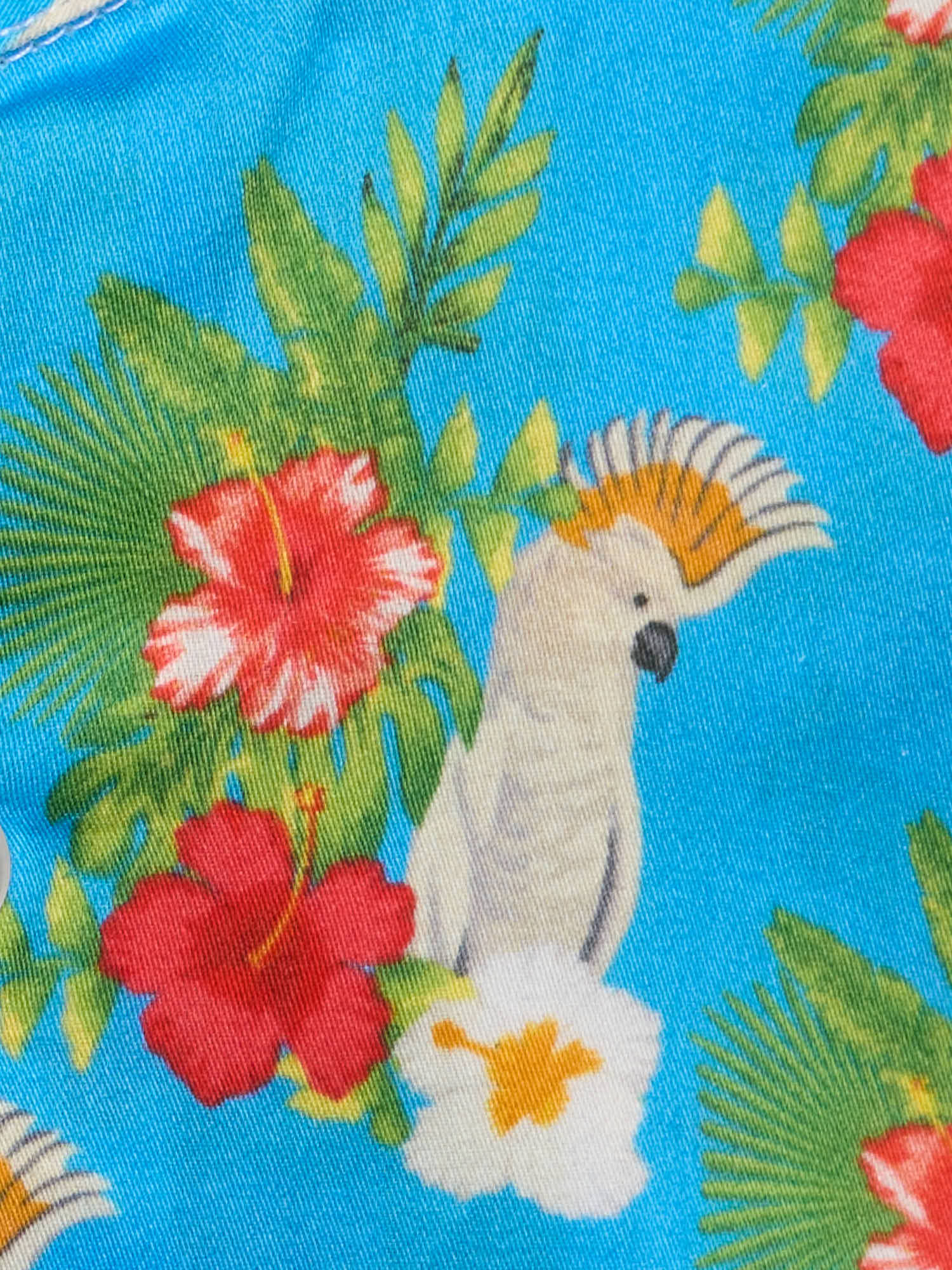 PIETRA SALATA Blue Printed Pattern Cotton Spread Collar Shirt