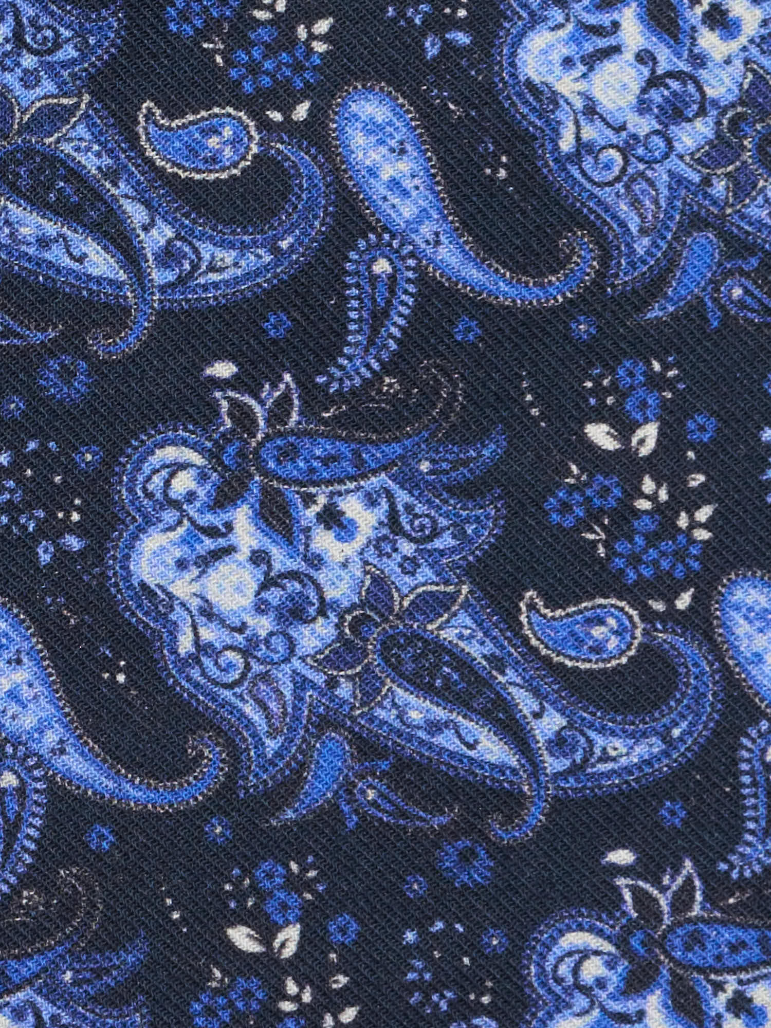 PIETRA SALATA Blue Paisley Cotton Spread Collar Shirt
