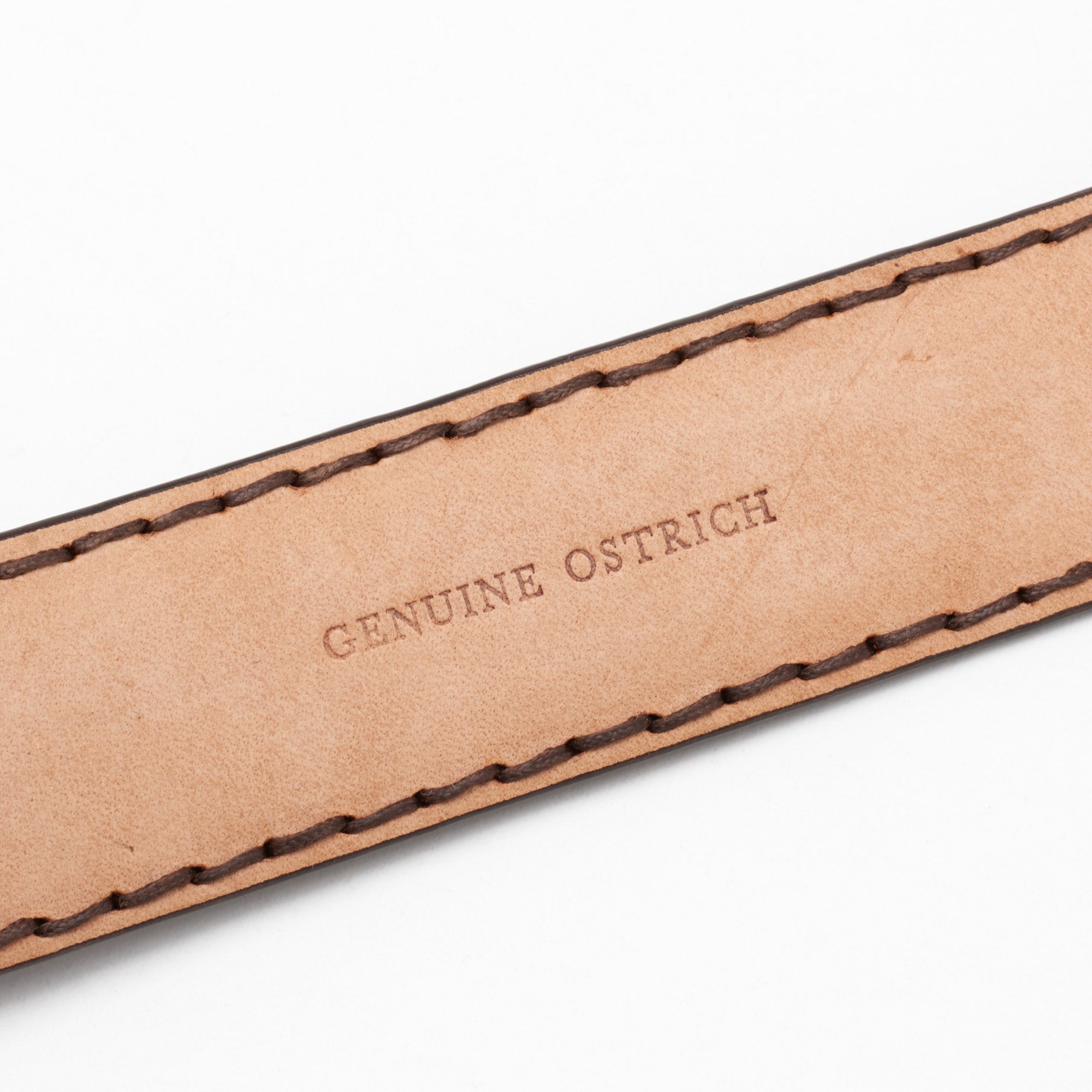 ROMANELLI Firenze Dark Brown Ostrich Silver-Horn Buckle Belt NEW 85cm 34" ROMANELLI