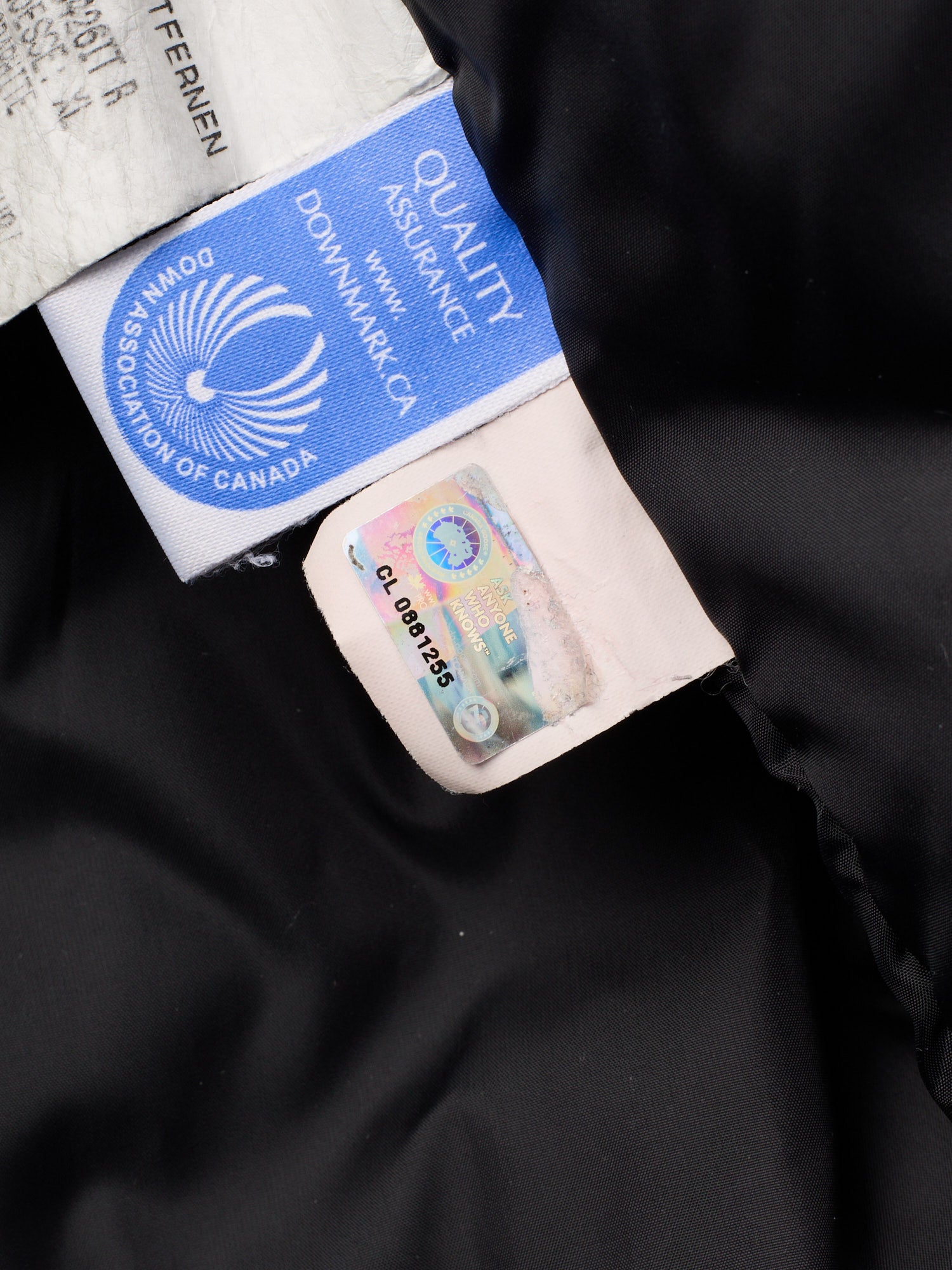 CANADA GOOSE Chateau Parka 3426M Gray Down Jacket Size XL Fur Ruff