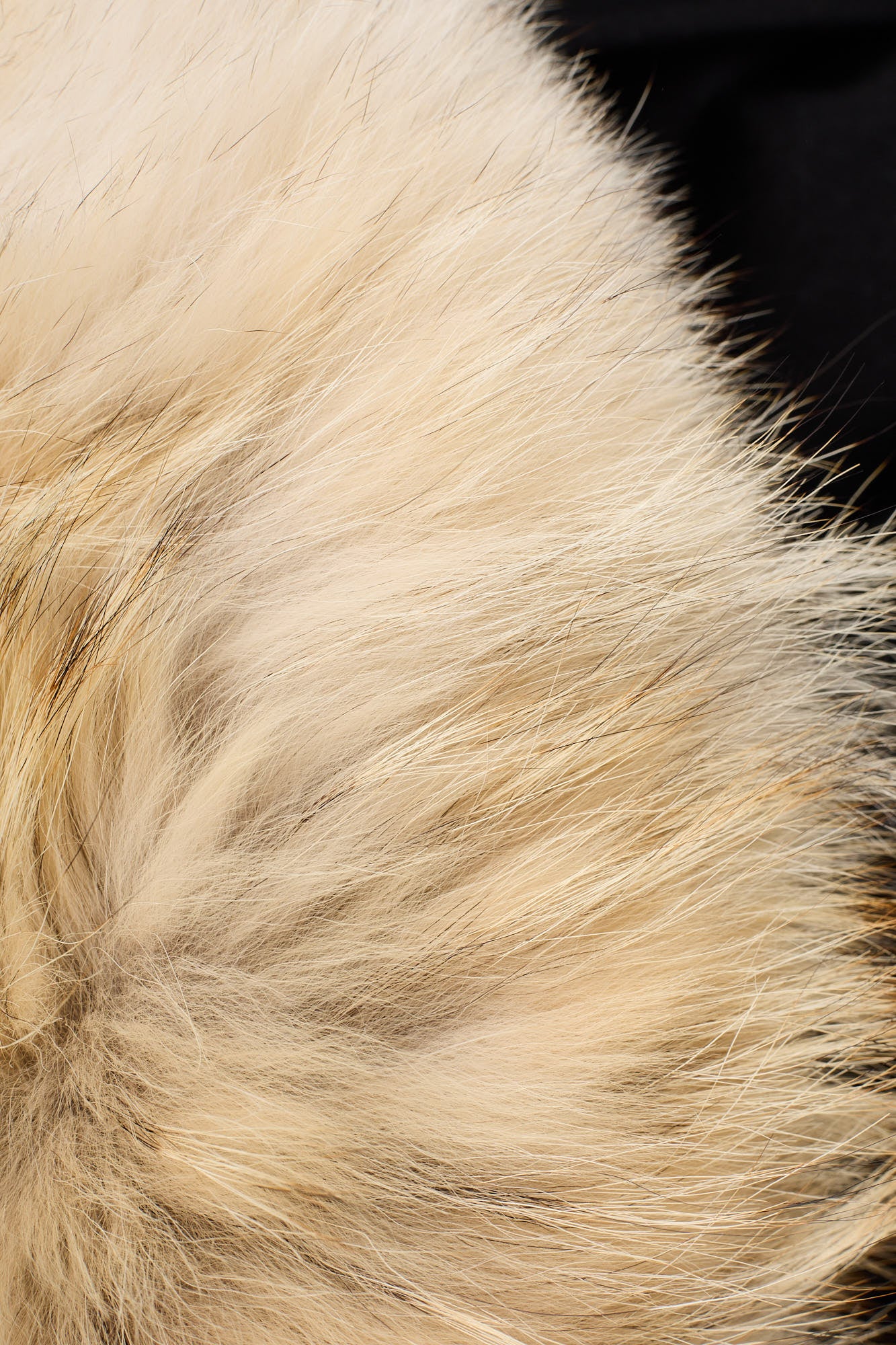 CANADA GOOSE x LORO PIANA Branta Trento Black Down Parka XL Fur Ruff