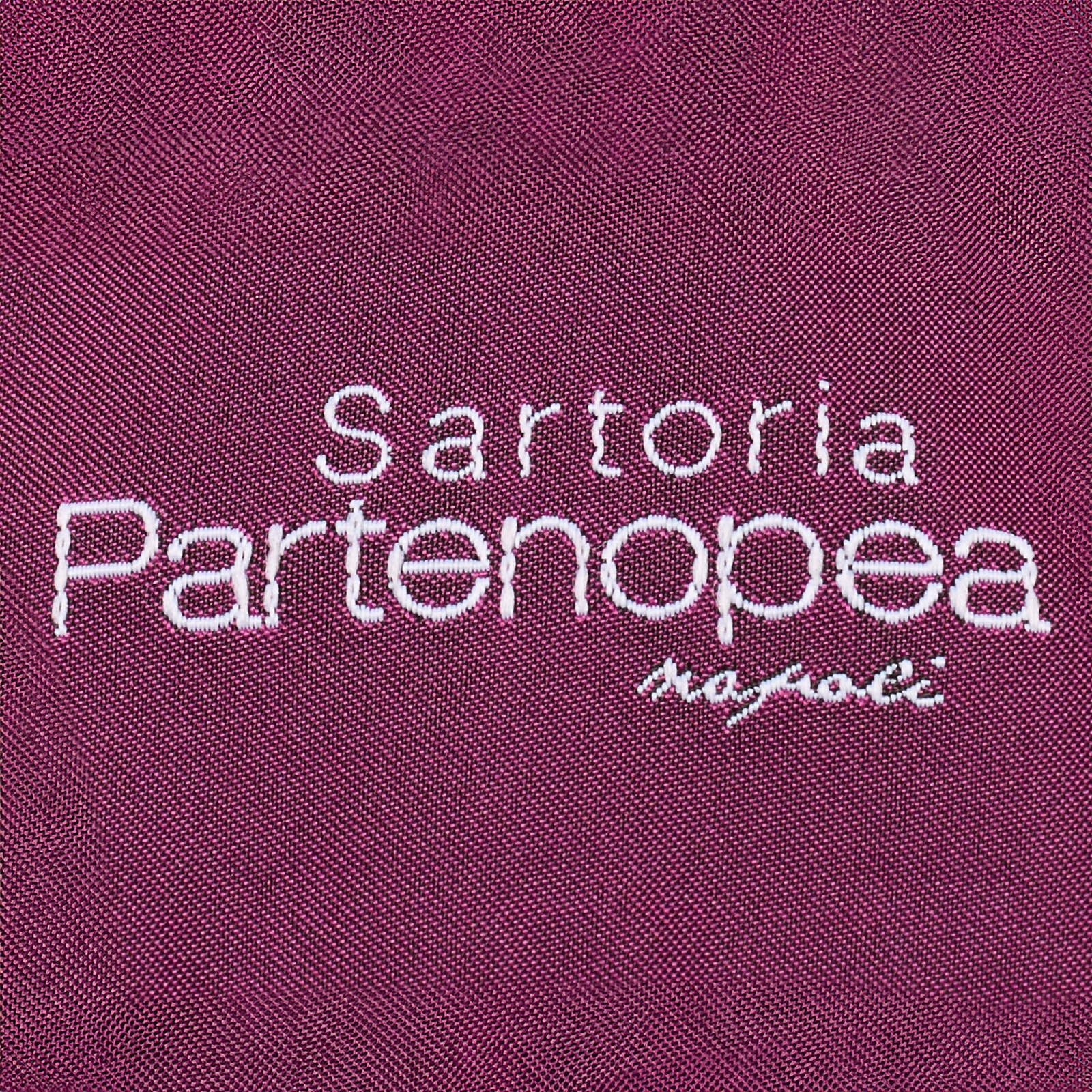 SARTORIA PARTENOPEA S 170's Loro Piana Wool-Cashmere Dress Pants EU 48 NEW US 32