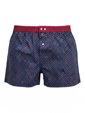 Descriptive image text