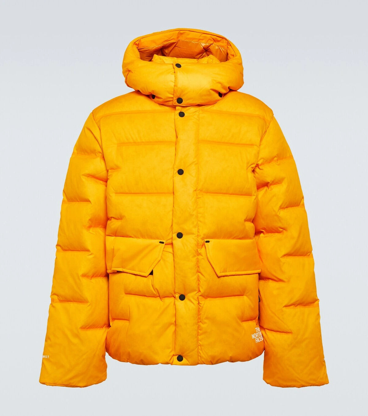 THE NORTH FACE Sierra Summit Gold Down Parka Jacket NEW