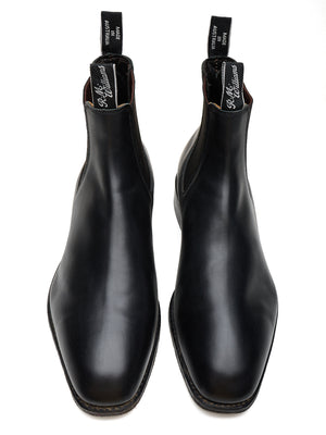 Descriptive image text